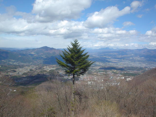 image020