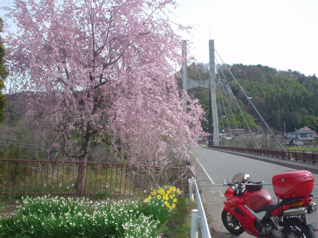 image008