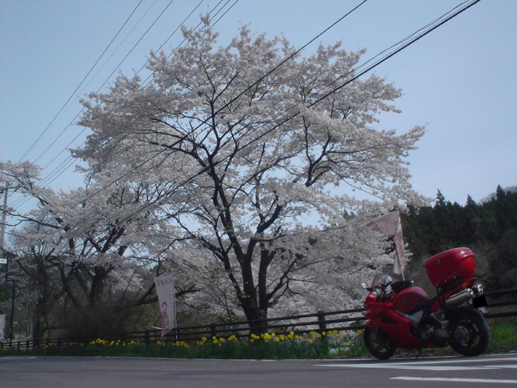 image012