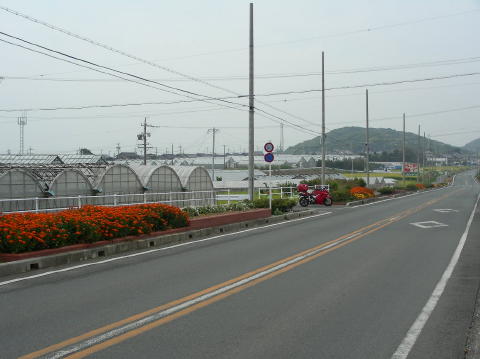 image 003