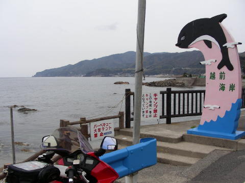 image 845