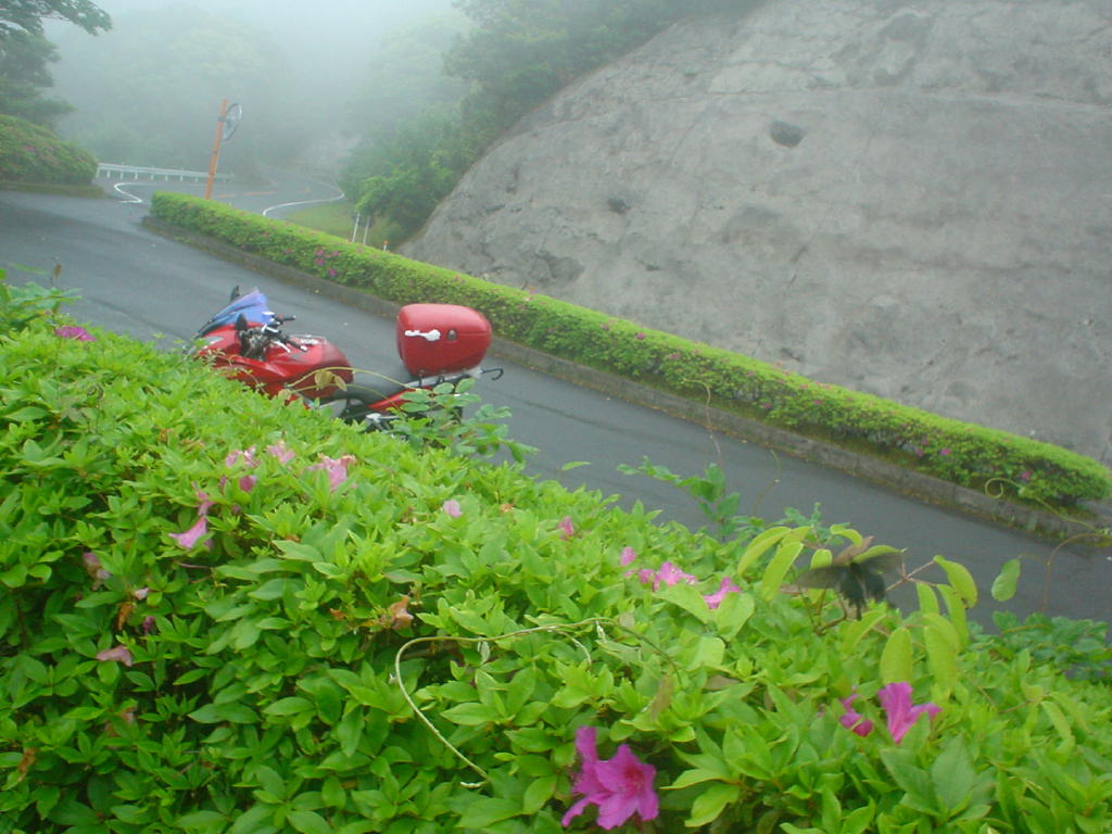 image006