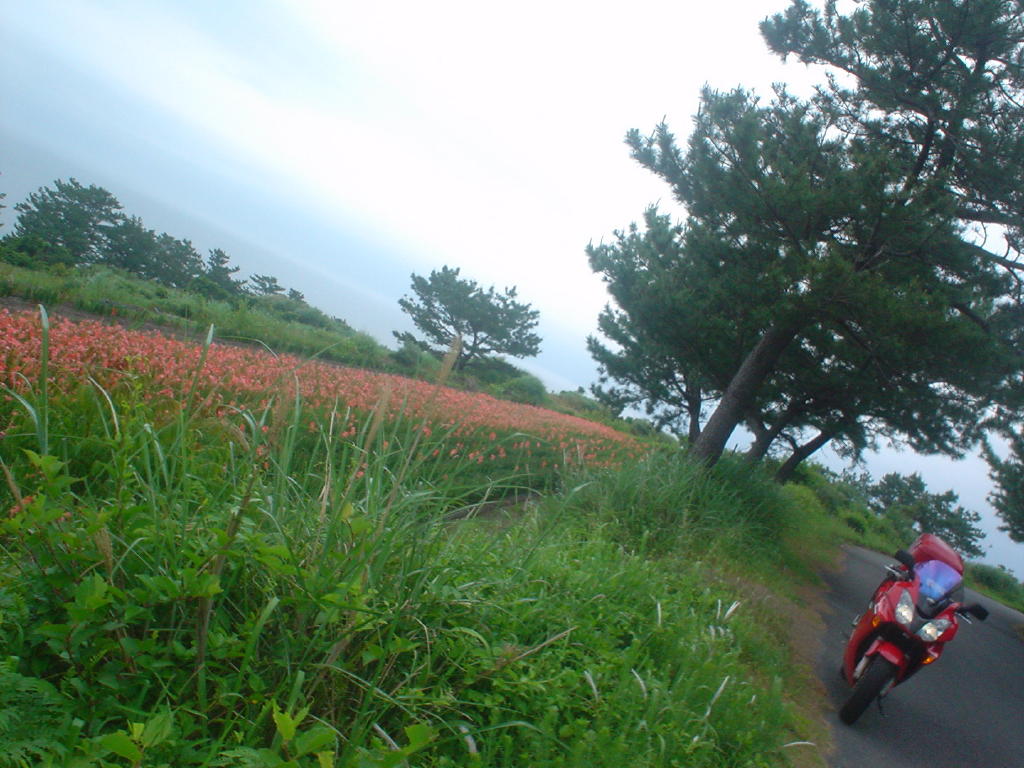 image018