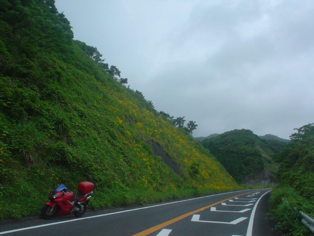 image036