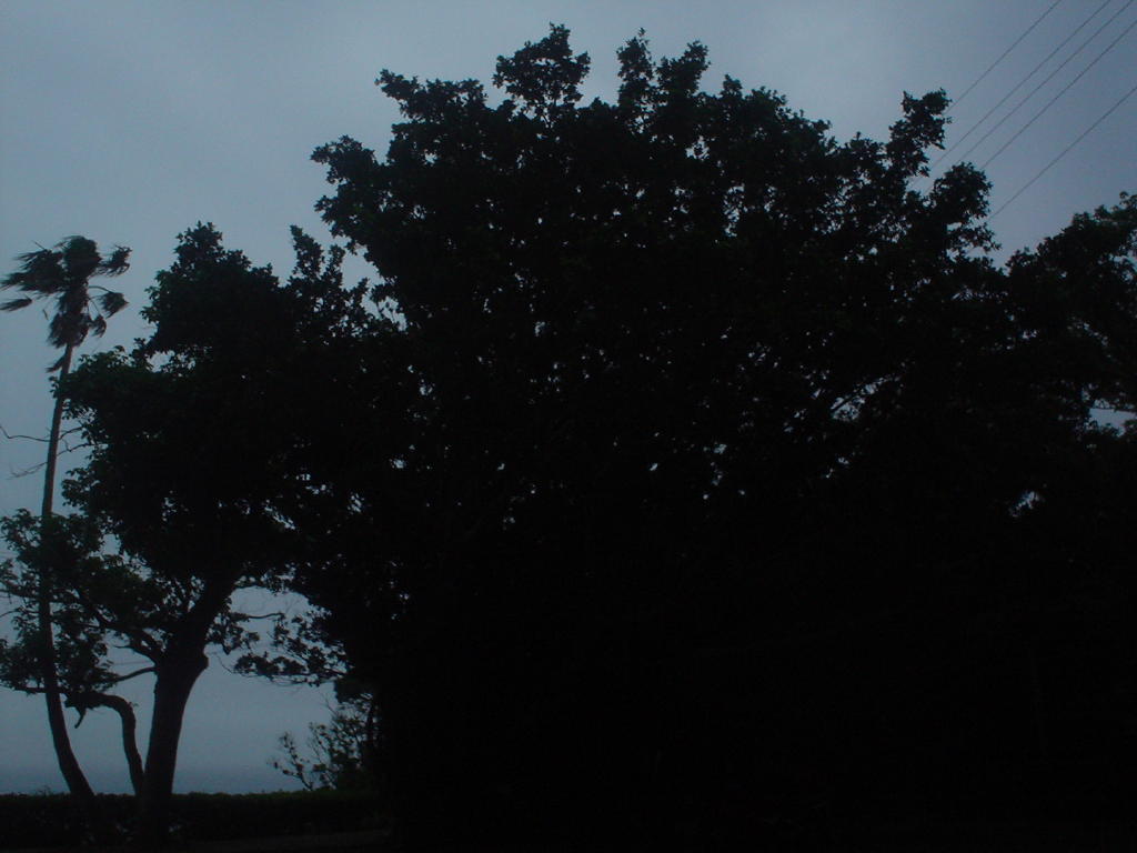 image043