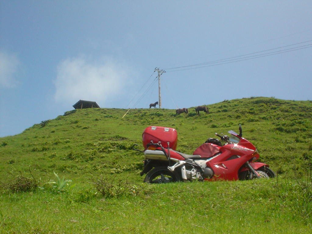 image016