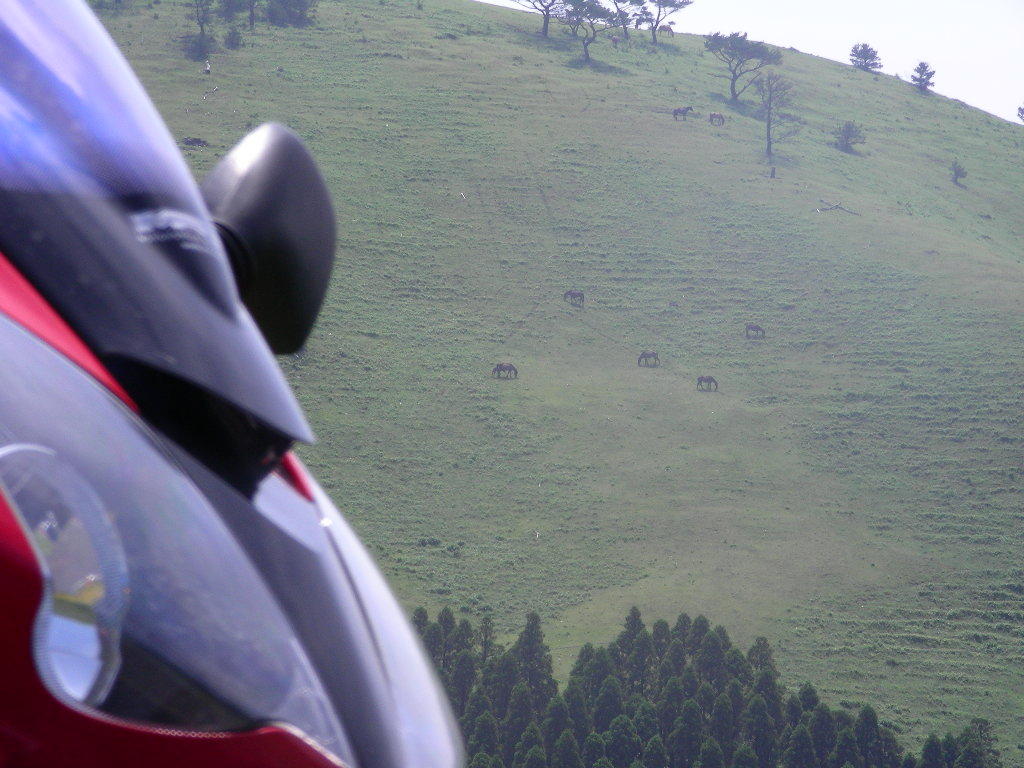 image019
