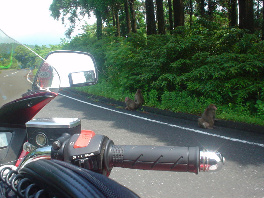 image020