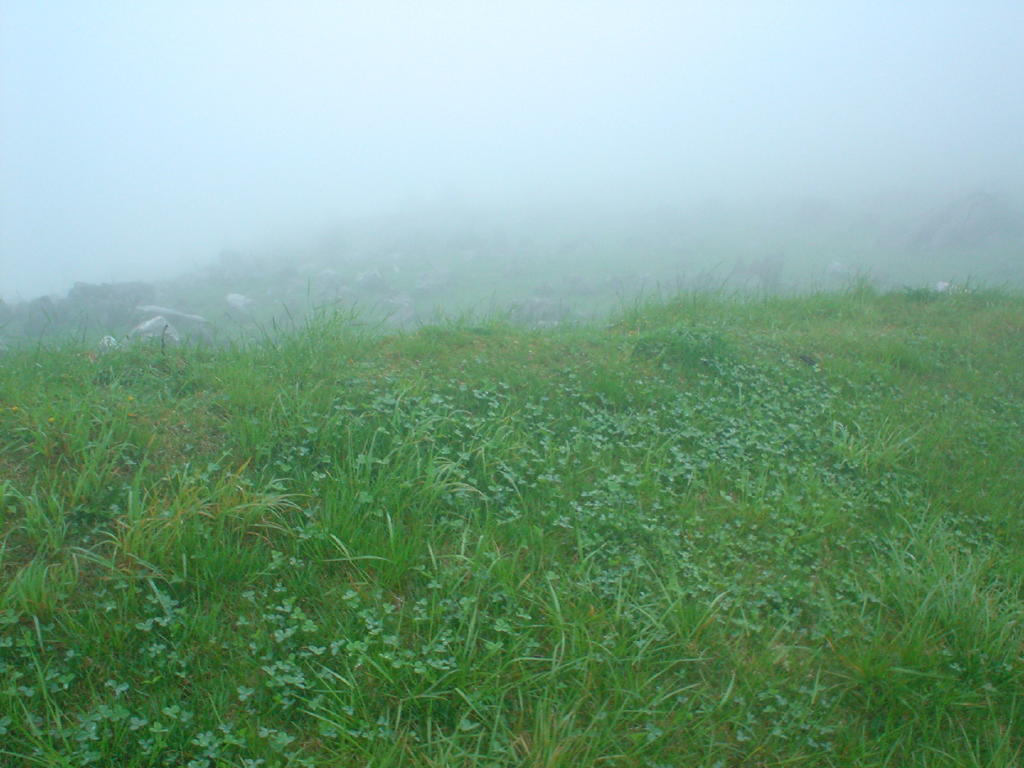 image025