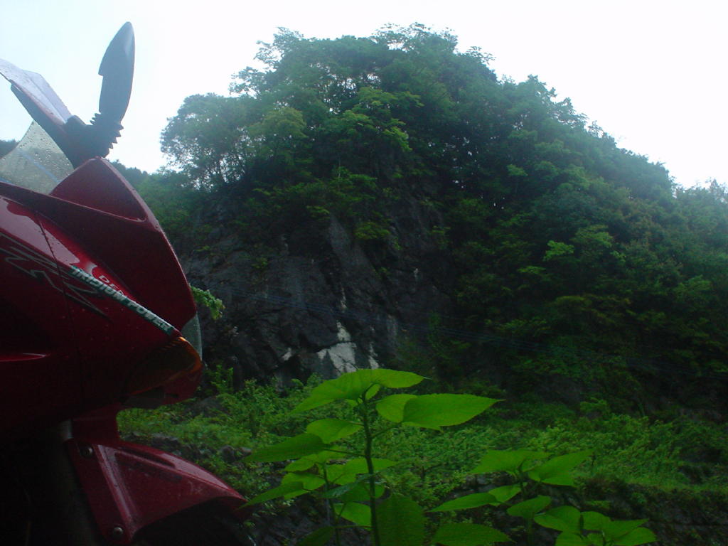 image038