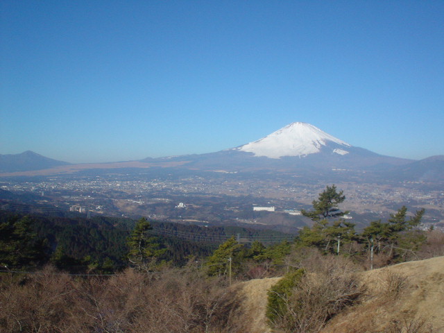 image006