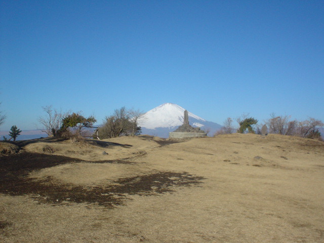 image009