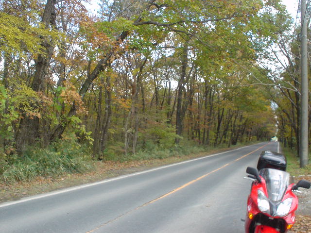 image010