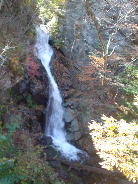 image020