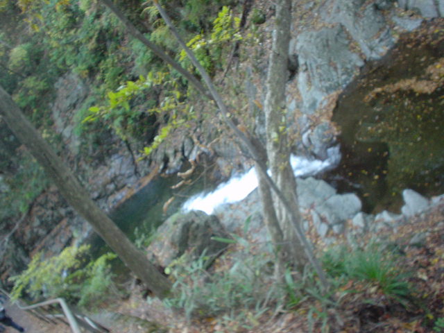 image036