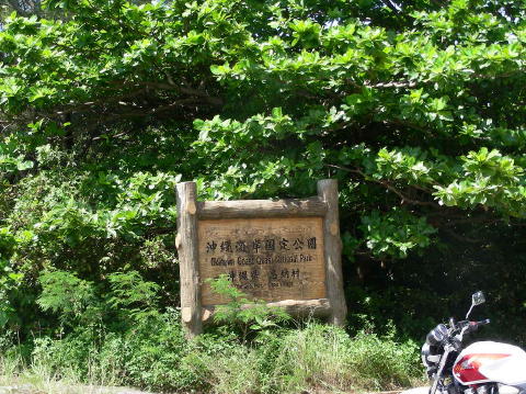 DSCN0307