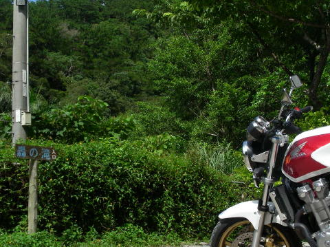 DSCN0320