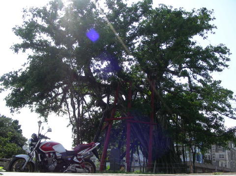 DSCN0333
