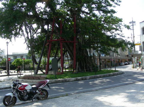 DSCN0331