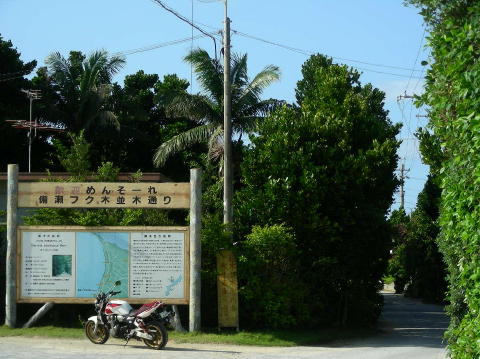 DSCN0364