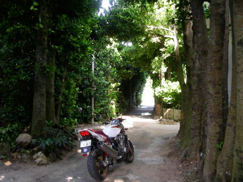 DSCN0365