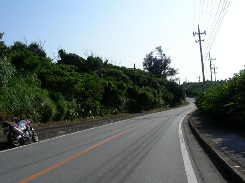 DSCN0374
