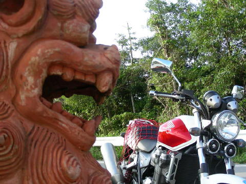 DSCN0436