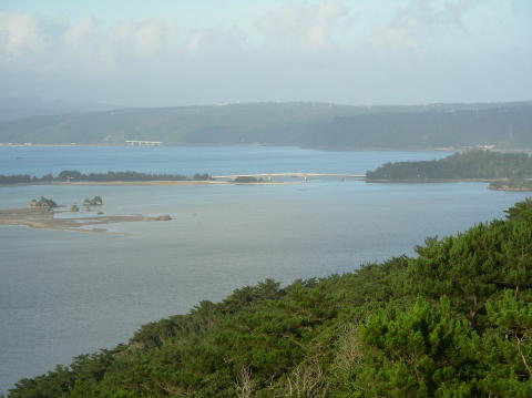 DSCN0442