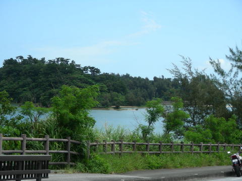 DSCN0449