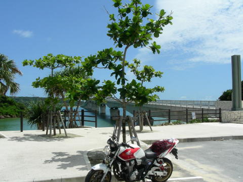 DSCN0462