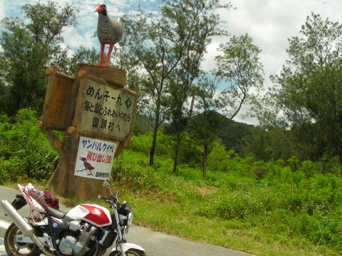 DSCN0473