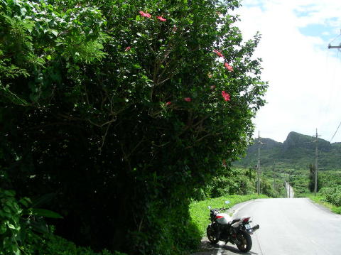 DSCN0529