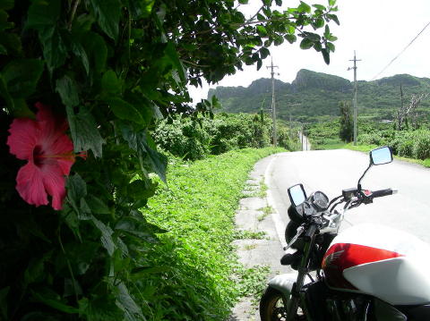 DSCN0534