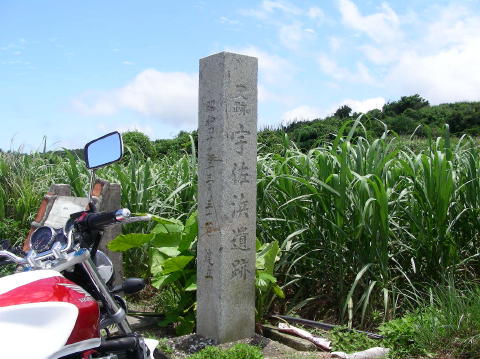 DSCN0536