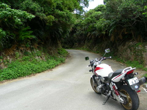 DSCN0544