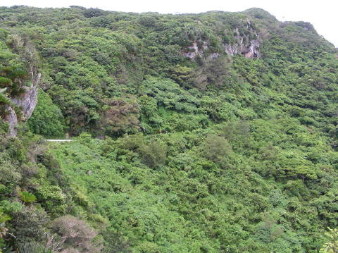 DSCN0552