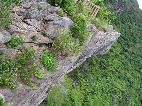 DSCN0554