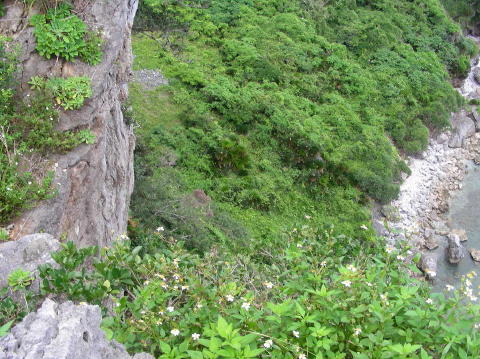 DSCN0555