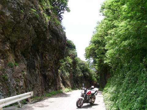 DSCN0574