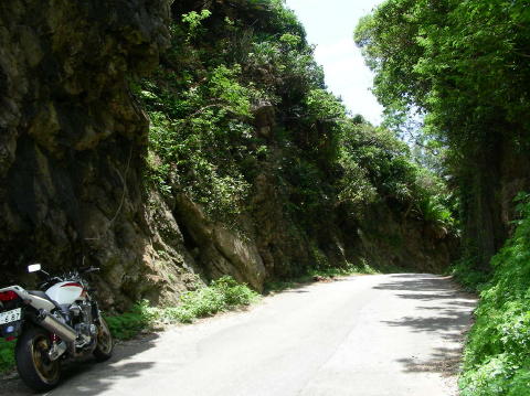 DSCN0585