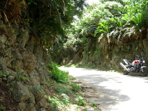 DSCN0593