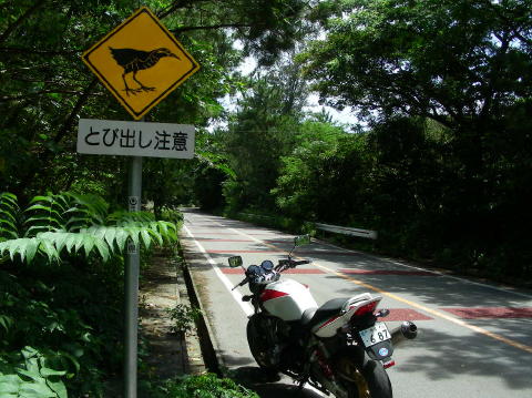 DSCN0611