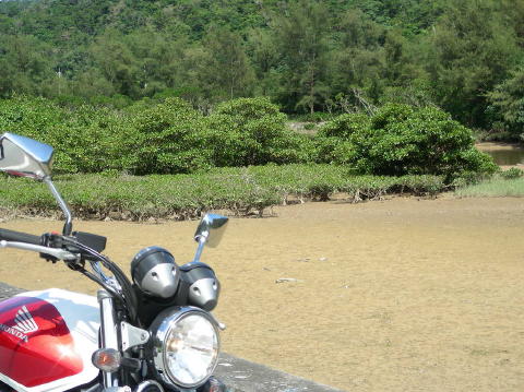 DSCN0644