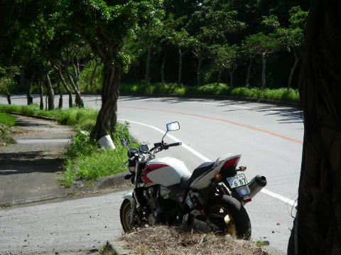 DSCN0653