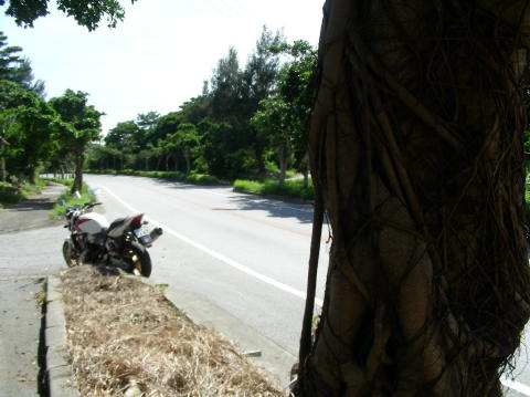 DSCN0654