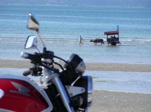 DSCN0658