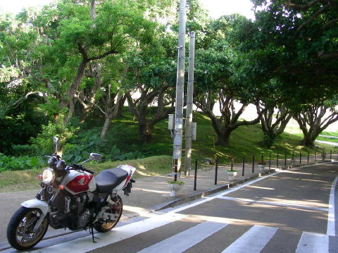 DSCN0701