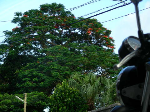 DSCN0725