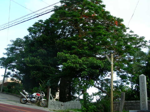 DSCN0728