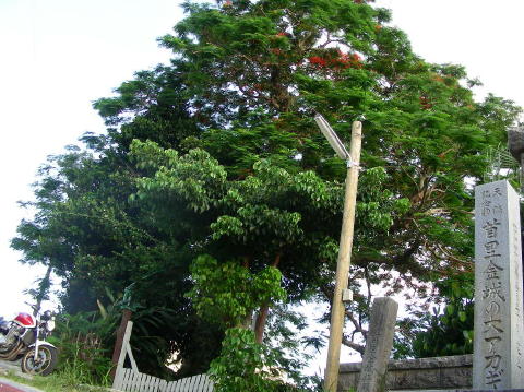 DSCN0733